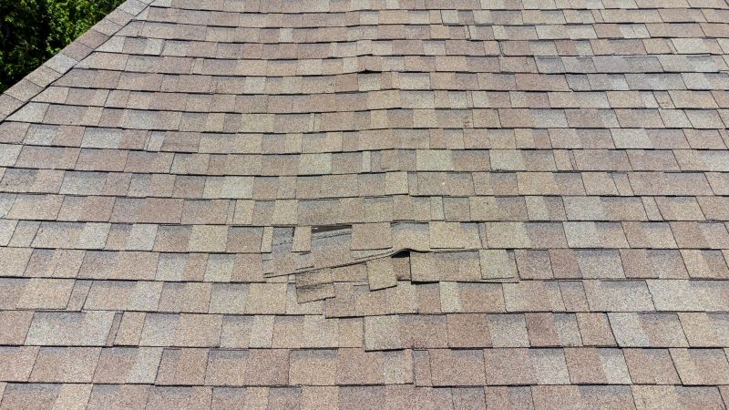 Asphalt Roof Inspection in North Royalton, OH