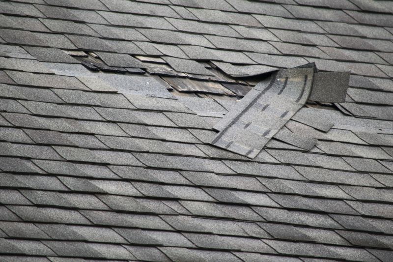 Asphalt Roof Leak Repair in Brecksville, OH