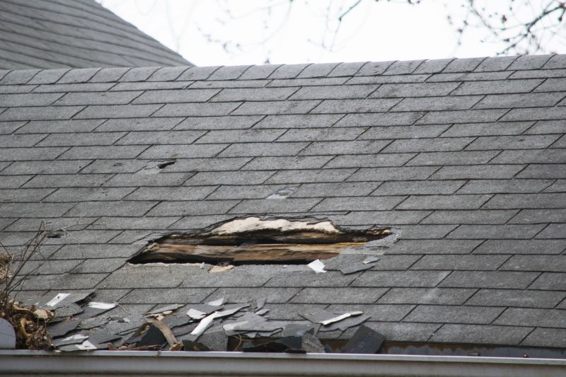 Asphalt Roof Leak Repair in Brunswick, OH