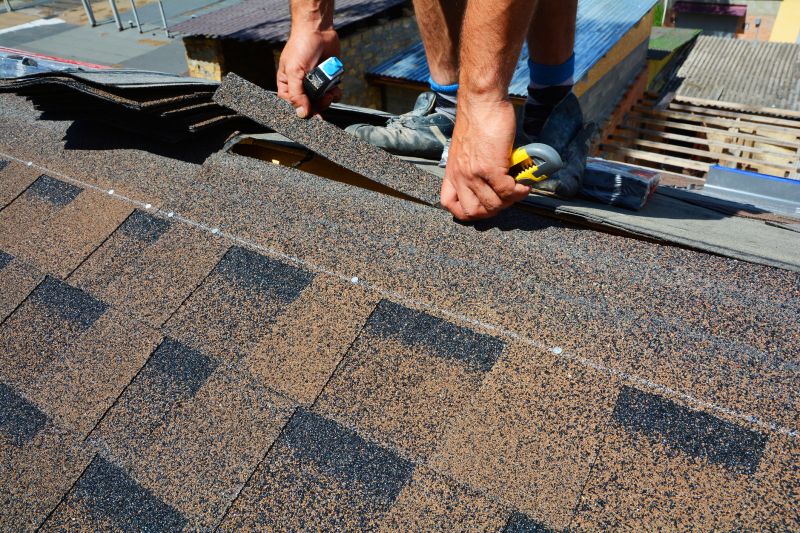 Asphalt Roof Repair in Ravenna, OH