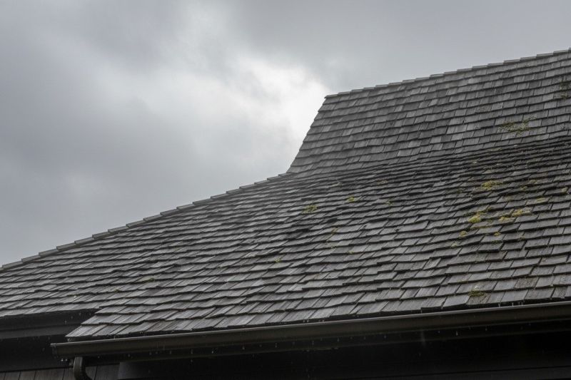 Cedar Roof Replacement in West Salem, OH