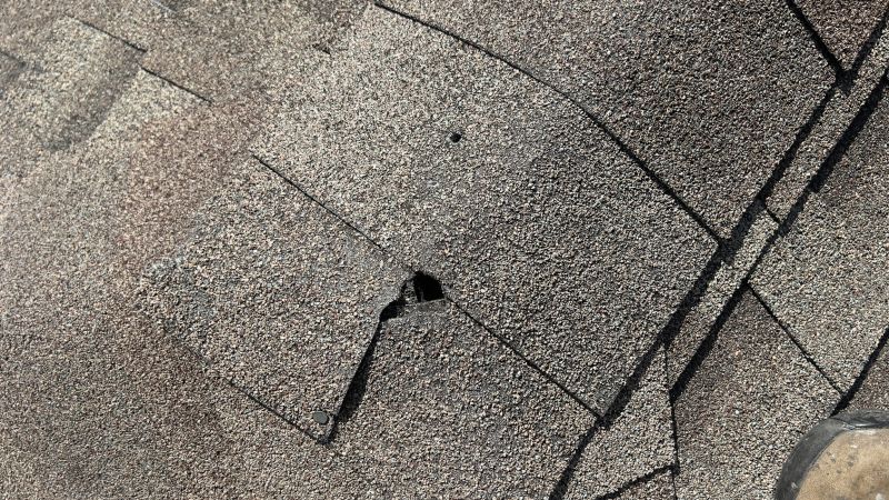 Damaged Roof Repair in Northfield, OH