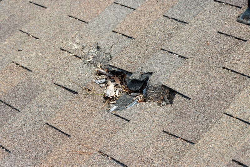 Damaged Roof Replacement in Wayne County, OH