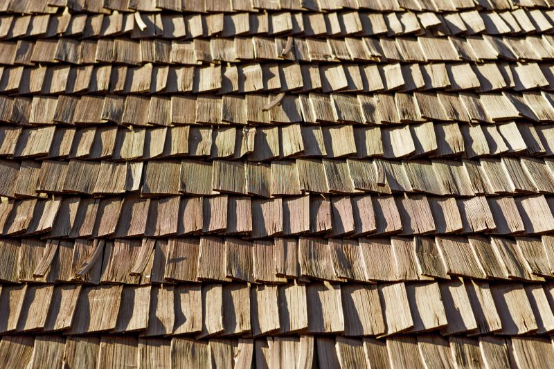 Shake Roof Replacement in Wayne County, OH