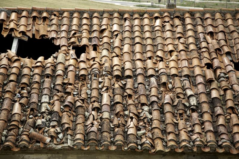 Tile Roof Inspection in Summit County, OH