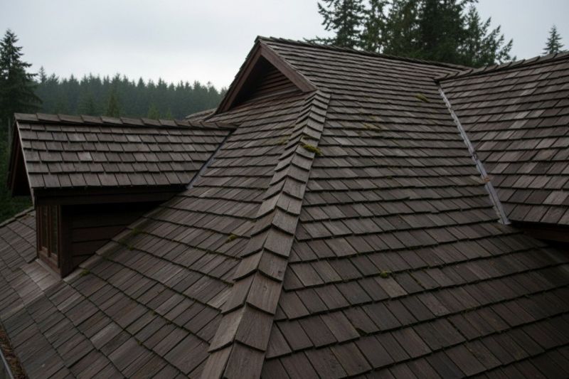 Wood Shake Roof Replacement in Canal Fulton, OH